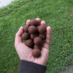 Boilies Red Salmon