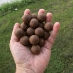 Boilies Crab Chilli